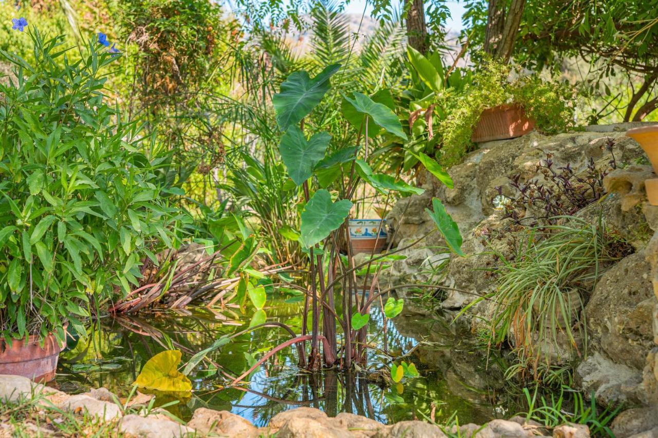Finca Alqueria Campanet Buitenkant foto